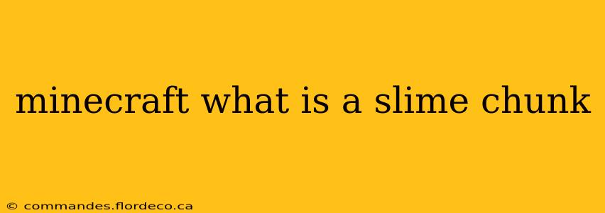 minecraft what is a slime chunk
