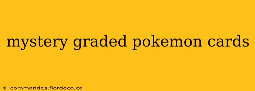 mystery graded pokemon cards