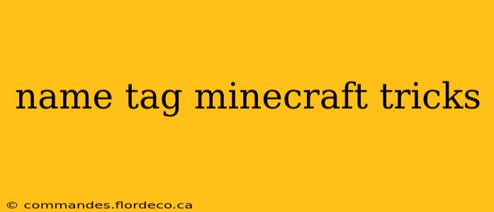 name tag minecraft tricks