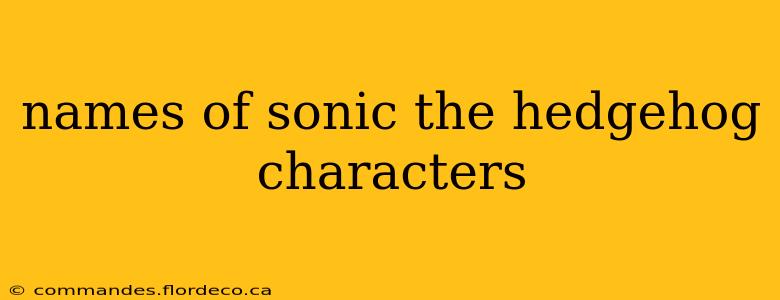 names of sonic the hedgehog characters