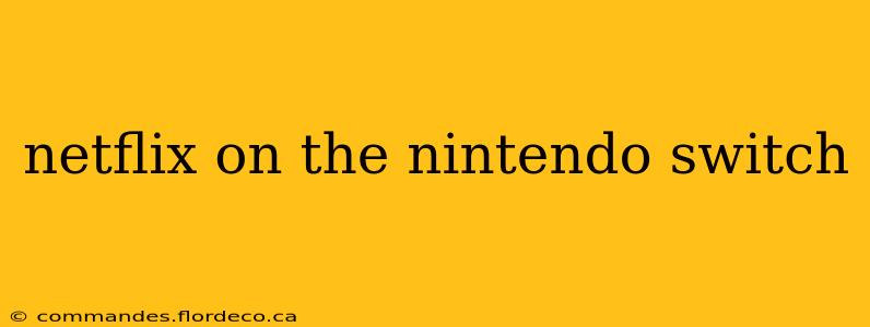 netflix on the nintendo switch