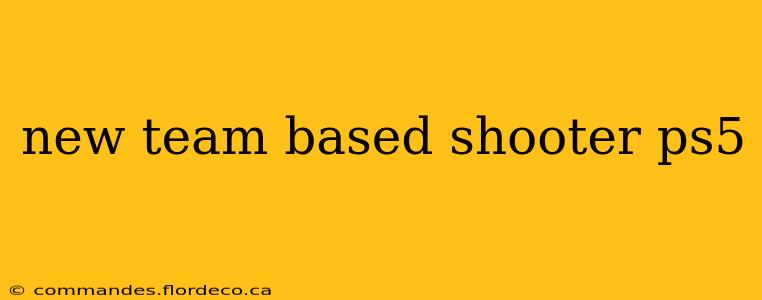 new team based shooter ps5