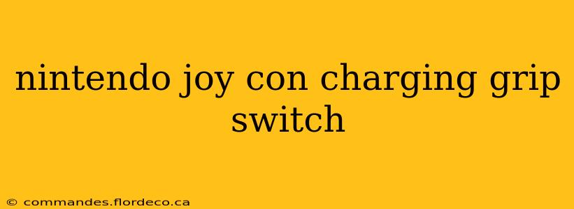 nintendo joy con charging grip switch