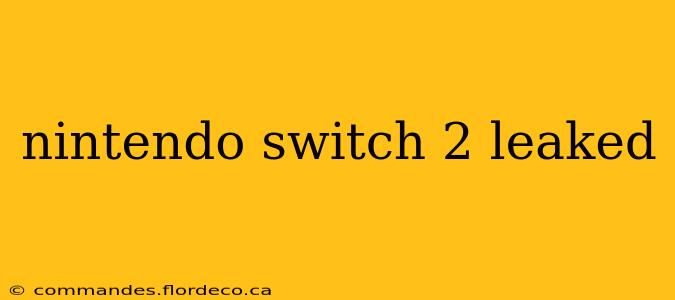 nintendo switch 2 leaked