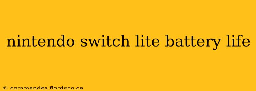 nintendo switch lite battery life