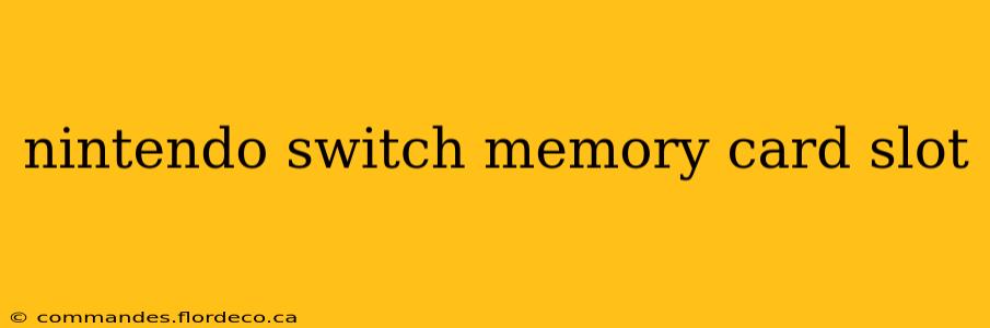 nintendo switch memory card slot