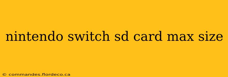 nintendo switch sd card max size