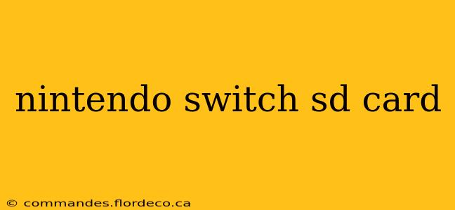 nintendo switch sd card