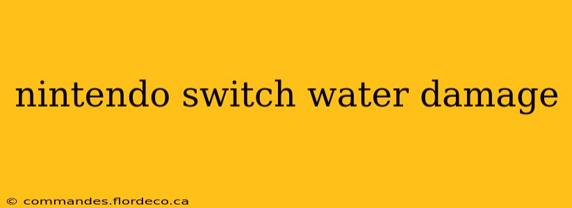 nintendo switch water damage