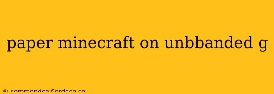 paper minecraft on unbbanded g
