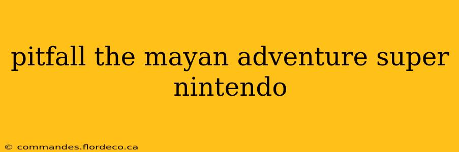 pitfall the mayan adventure super nintendo