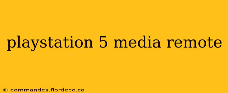 playstation 5 media remote