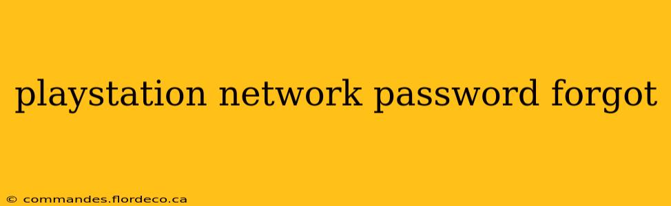 playstation network password forgot