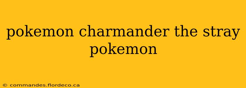 pokemon charmander the stray pokemon
