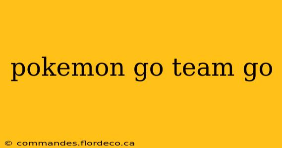 pokemon go team go