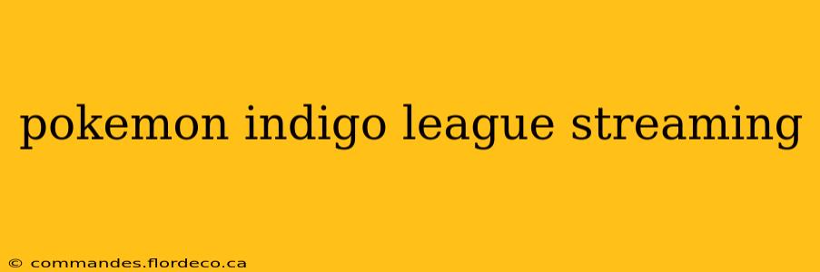 pokemon indigo league streaming