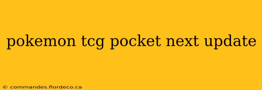 pokemon tcg pocket next update