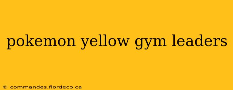 pokemon yellow gym leaders
