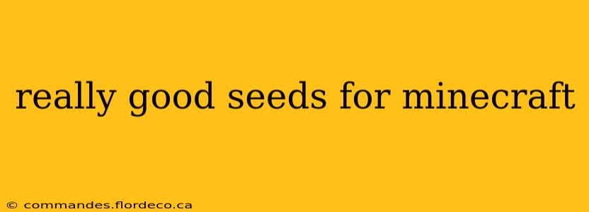 really good seeds for minecraft