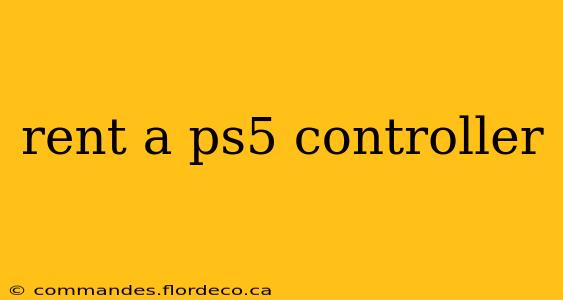 rent a ps5 controller