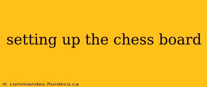 setting up the chess board