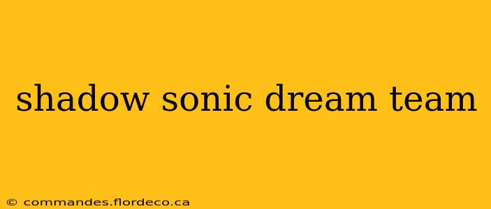 shadow sonic dream team