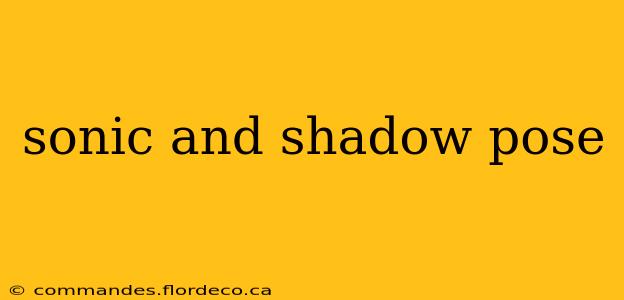 sonic and shadow pose