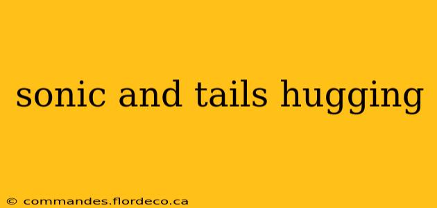 sonic and tails hugging
