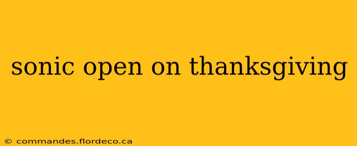 sonic open on thanksgiving