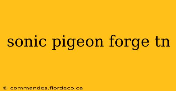 sonic pigeon forge tn