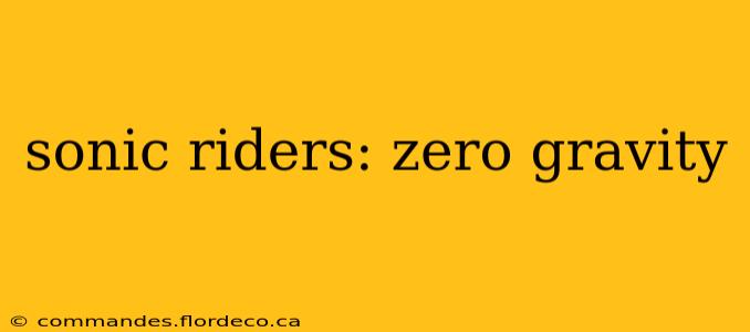 sonic riders: zero gravity