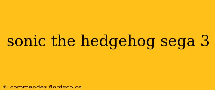 sonic the hedgehog sega 3