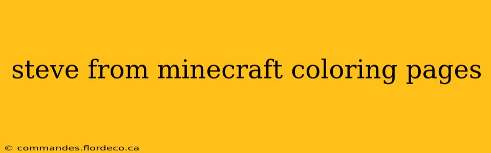 steve from minecraft coloring pages
