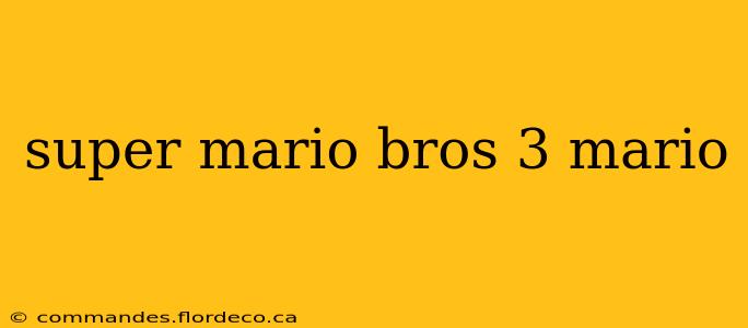 super mario bros 3 mario