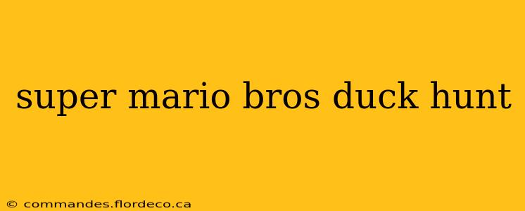 super mario bros duck hunt