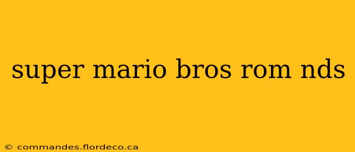 super mario bros rom nds