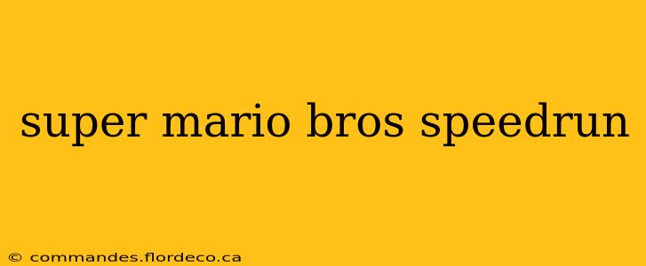 super mario bros speedrun