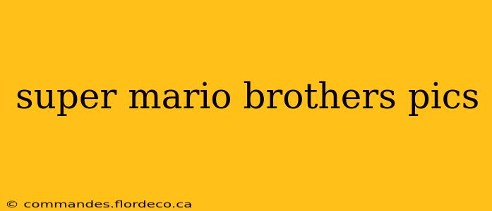 super mario brothers pics
