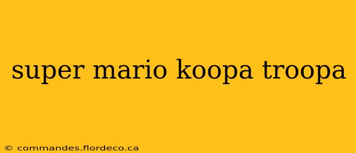 super mario koopa troopa