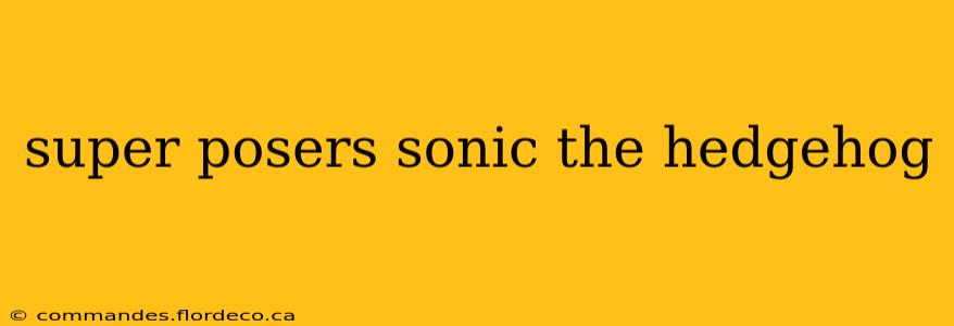 super posers sonic the hedgehog