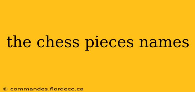 the chess pieces names