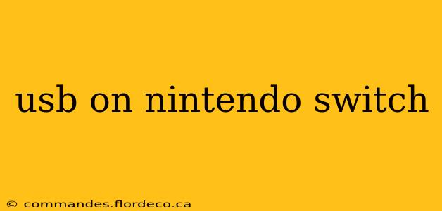 usb on nintendo switch