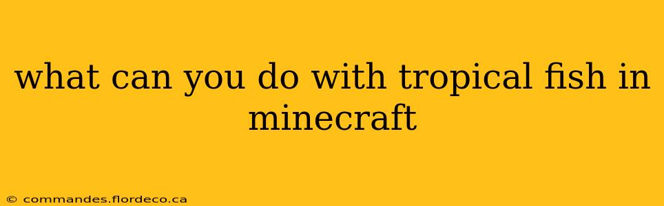 what can you do with tropical fish in minecraft