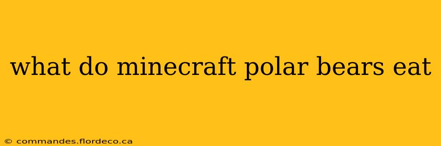 what do minecraft polar bears eat