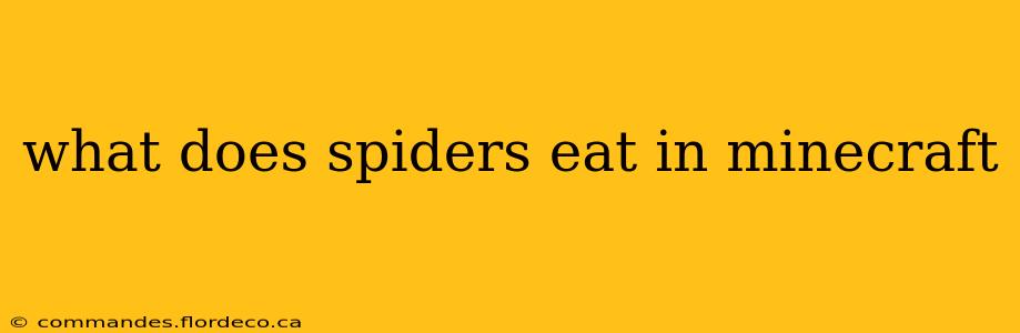 what does spiders eat in minecraft