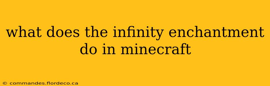 what does the infinity enchantment do in minecraft