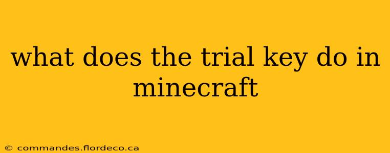 what does the trial key do in minecraft