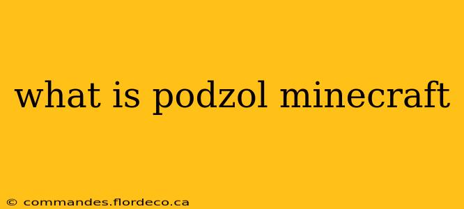 what is podzol minecraft