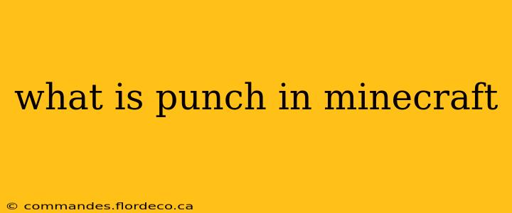 what is punch in minecraft
