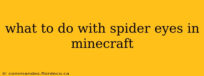 what to do with spider eyes in minecraft